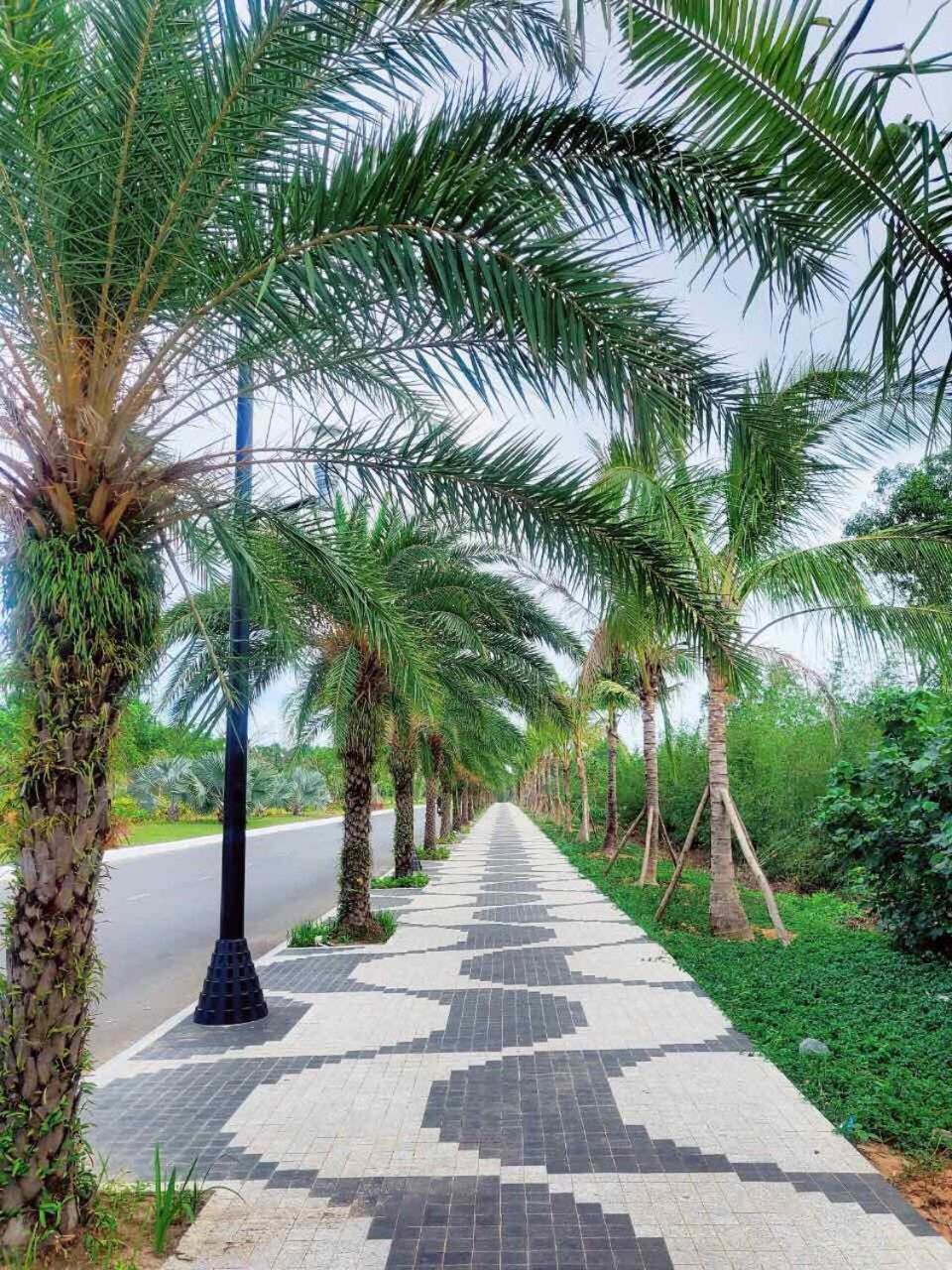 Sunrise Hotel Phu Quoc Exterior foto